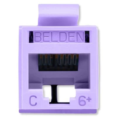 Belden - RV6MJKUTP-B24 - CAT6+ UTP Modular Jack, Purple (TIA), T568 A/B ...