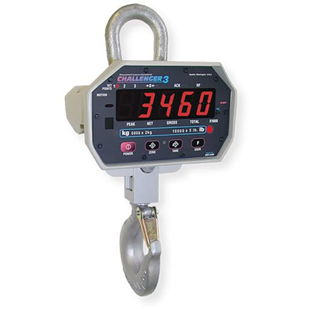 Rice Lake Weighing Systems Measurement Systems International (MSI) 197301 Crane Scale,MSI